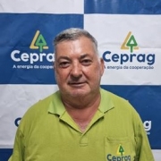 SERGIO LUIZ GOMES
