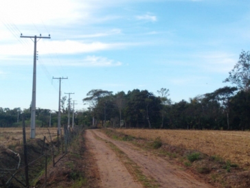 Construção de Rede Trifásica e Poda, Cachoeira, PG